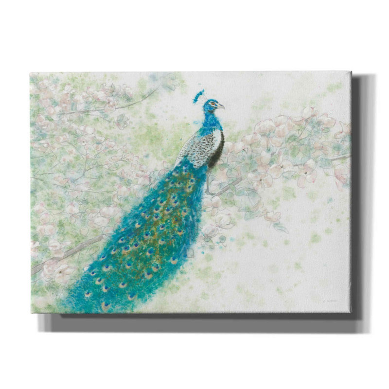 «Cashel Spring Peacock I on Canvas» par James Wiens, reproduction, H 12 po x l 16 po x P 0,75 po