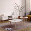 Table basse en forme d'œuf