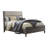 Raavi Spruce Solid Wood Standard Bed-73509289
