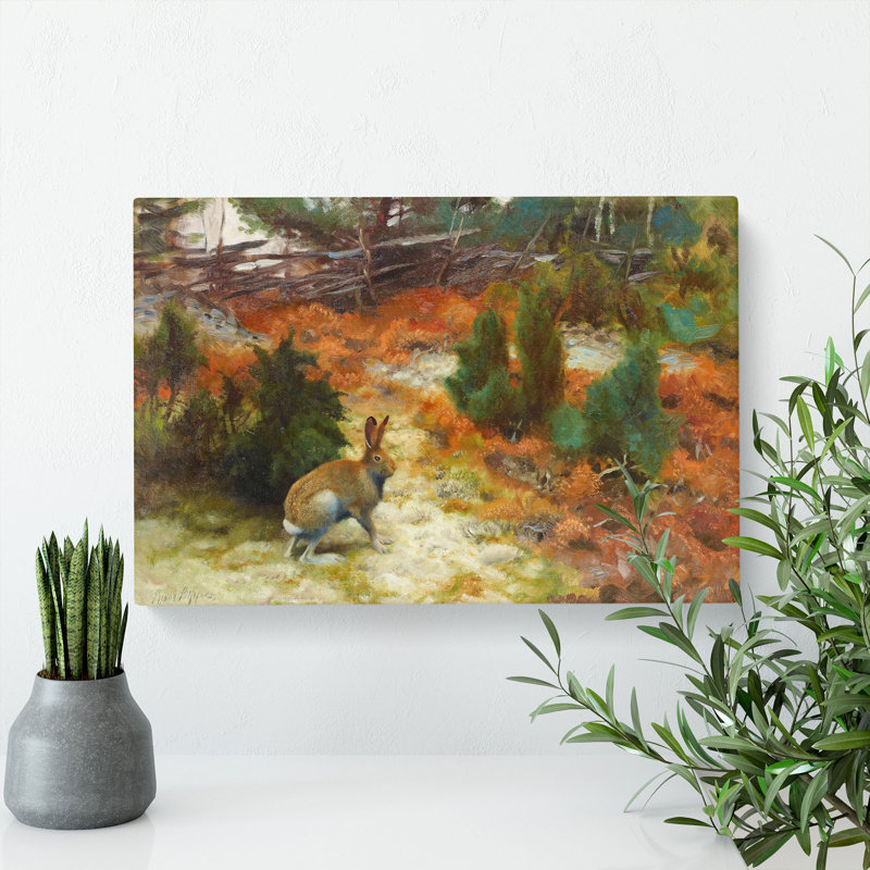 Hare Rabbit by Bruno Liljefors - Wrapped Canvas, 35cm H x 50cm W x 3cm D