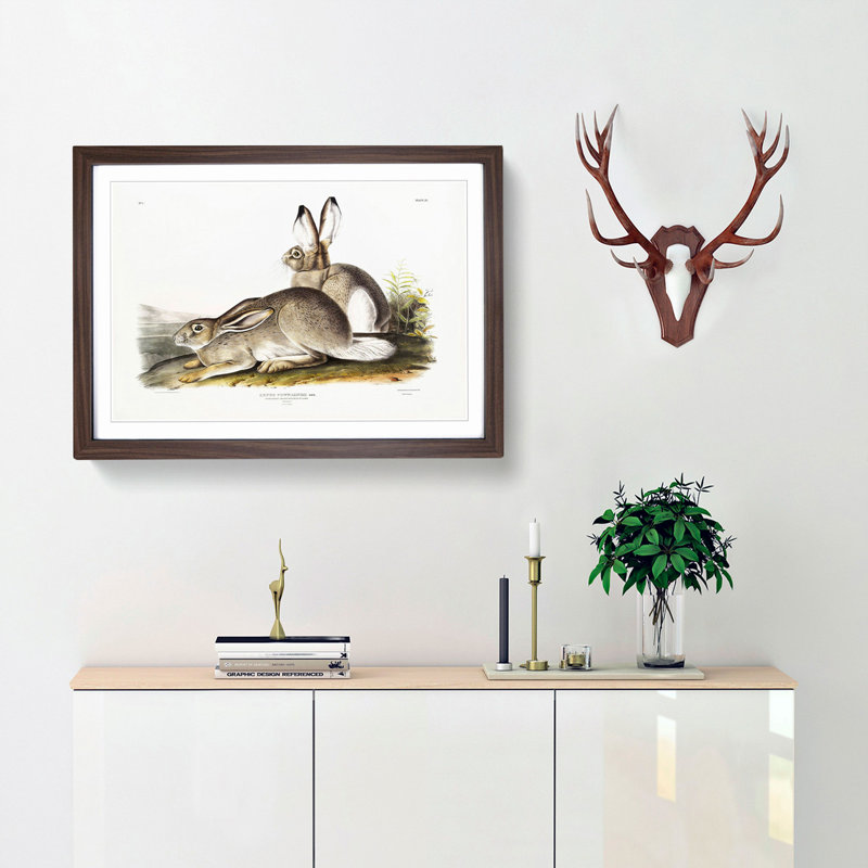 Rocky Mountain Hares by J.W. Audubon - Picture Frame Painting Print, Walnut, 60cm H x 91cm W x 2cm D