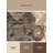 Machine Washable Higgins Onion Classic Oriental Rug in Brown – Beige Binding-1163591902