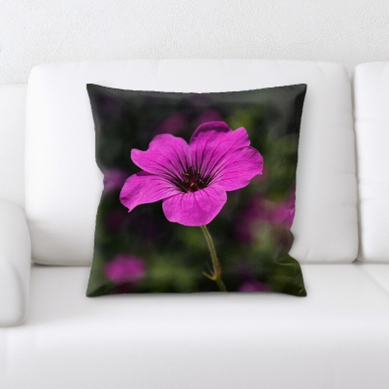 Coussin cranesbill