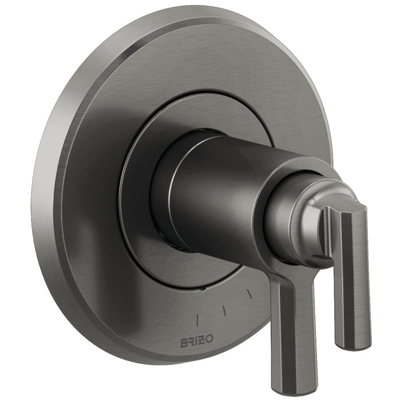 Levoir® TempAssure® Thermostatic Valve Only Trim, Luxe Steel