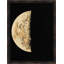 Cycle Of The Moon 3 Print