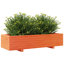 Wood Planter Box-104931173-108200269