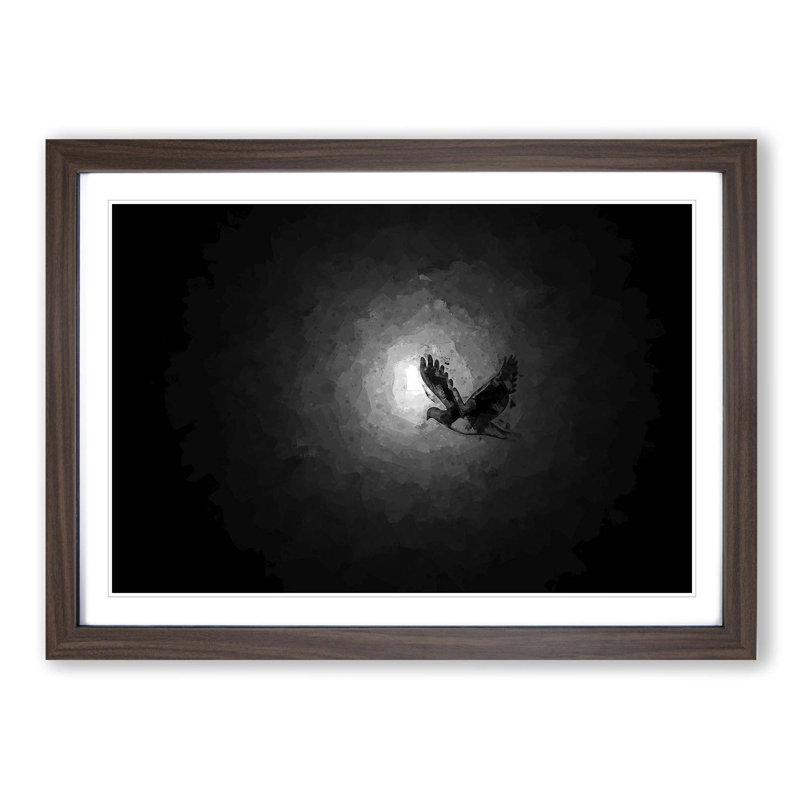 Flying Dove Bird in Abstract - Picture Frame Graphic Art Print, 35cm H x 50cm W x 2cm D, Walnut