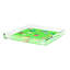 Winter in Florida Acrylic Square Decorative Tray-1287689335-1315082037