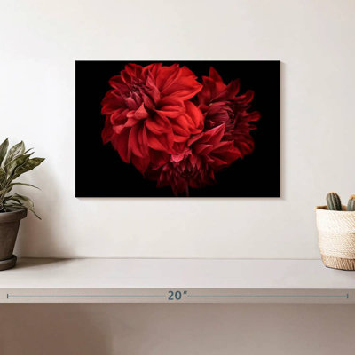 Harnek Blooming Red Dahlia