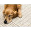 Tapis beige crème Manzelli-1659406063