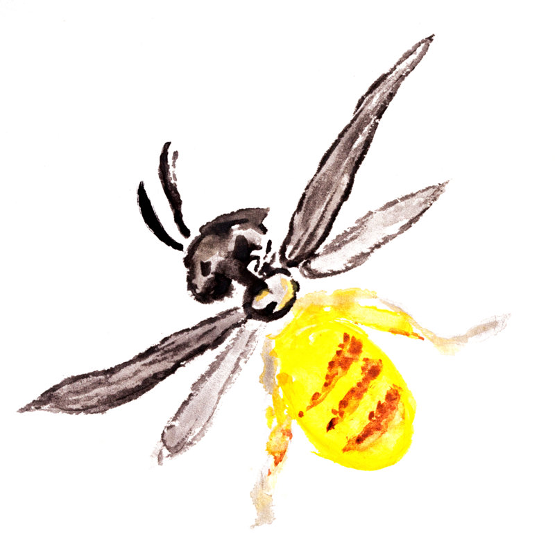 Shandon Bee - Wrapped Canvas Painting, 30cm H x 30cm W x 3.8cm D