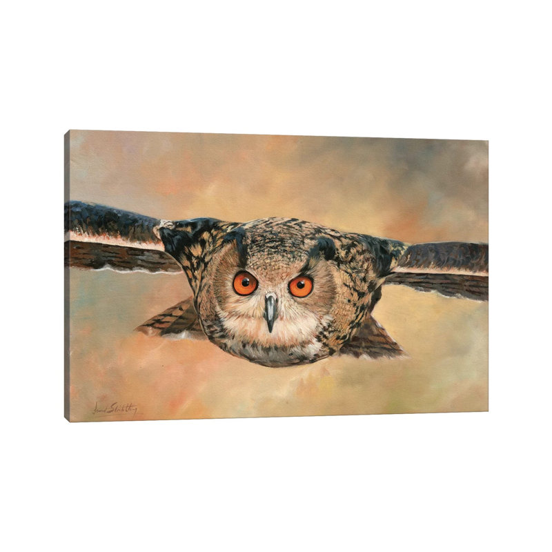 Eagle Owl by David Stribbling - Wrapped Canvas Print, 20.32 cm H x 30.48 cm W