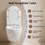 DeerValley 1.6L LPF Elongated Wall Hung Toilets