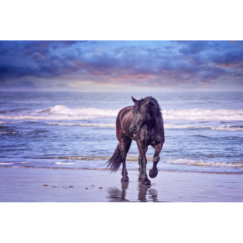 «Run in the Sand I» par PHBurchett - impression sur toile tendue, H 32 po x l 48 po