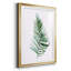 Sage Frond II - peinture encadrée-668912994-668912993