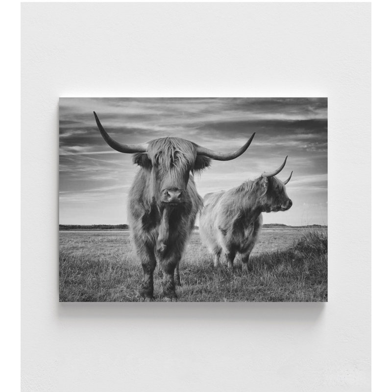 Art mural Highland Cow - impression de ferme écossaise en noir et blanc, Ne s’applique pas, H 24 po x l 32 po