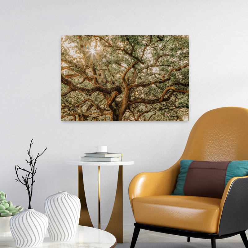Low Country Oaks I, art contemporain de paysage de chêne abstrait, H 24 po x l 16 po