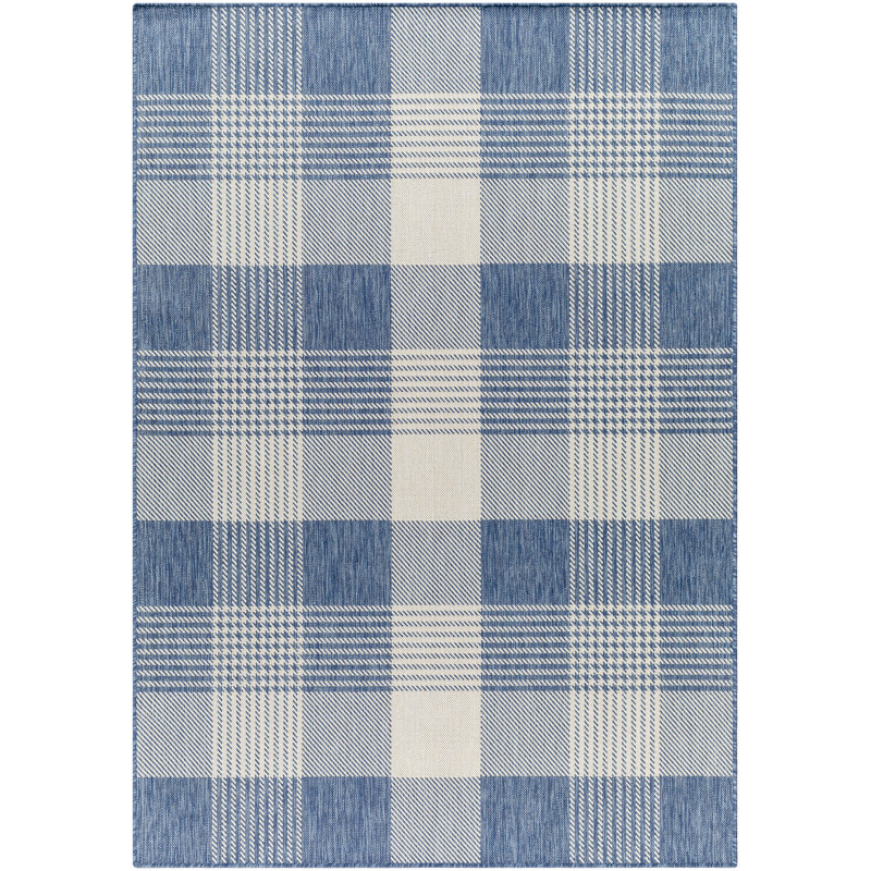 Emmeline Blue/Ivory Outdoor Area Rug, Rectangle 5'3" x 7'