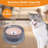Pet Bowl-98664301