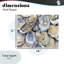 Plaque murale Oyster Shellabration Pile, design par Heidi Kuntz