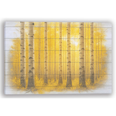 Art mural sur toile Sunlit Birch Haven - Autumn Glow