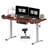 Adjustable Standing Desk, Whole-Piece Desktop-1613448256-1704026239
