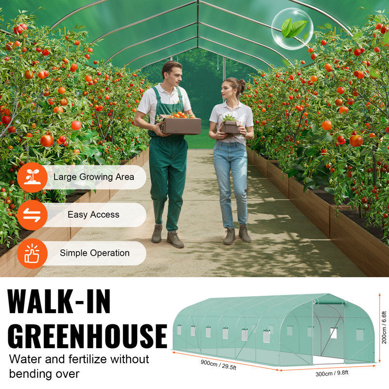 Walk-in Tunnel Greenhouse 29.53x9.84x6.6ft Galvanized Frame PE Cover Green