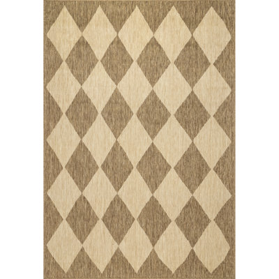 Diamond Trellis Indoor/Outdoor Area Rug