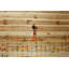 «Paddling» par Parvez Taj, reproduction d'art sur bois de pin naturel-1408741370