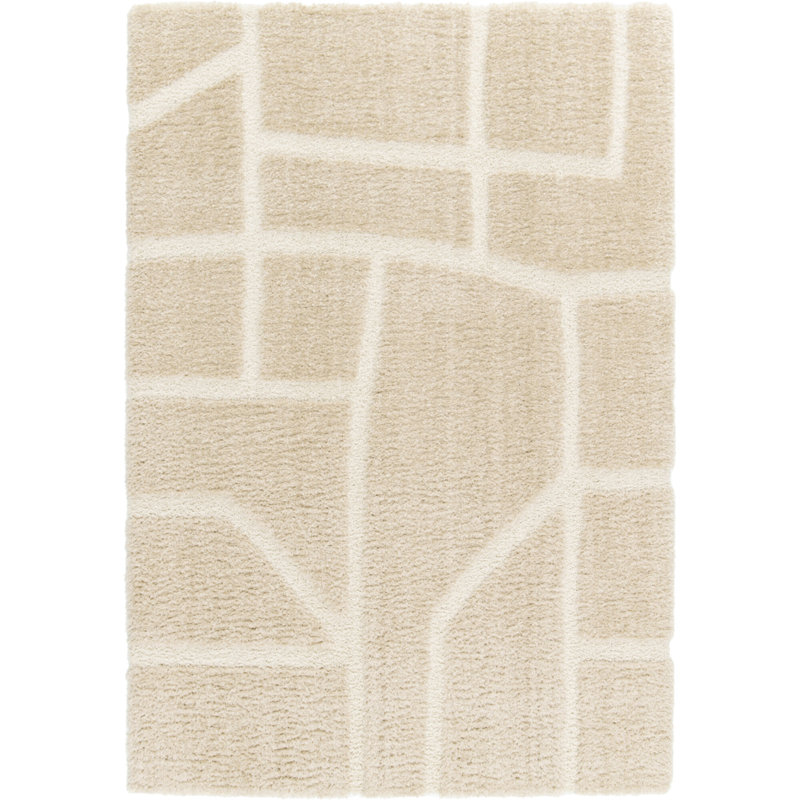 Rectangle Abstract Shaggy Area Rug, Rectangle 200 x 290 cm