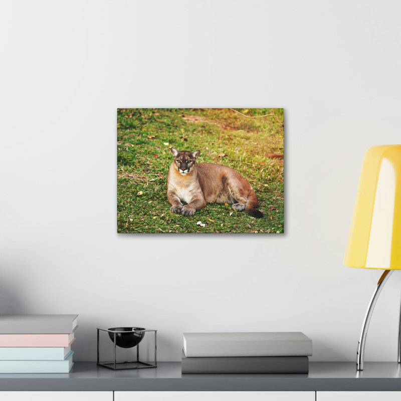 No Frame Print on Canvas, 11cm H x 14cm W