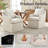 Tory Upholstered Dining Chairs With Caster Set Of 2-1665047071