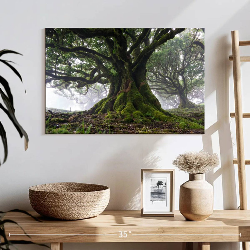 Harnek Mossy Old Trees, H 16 po x l 24 po