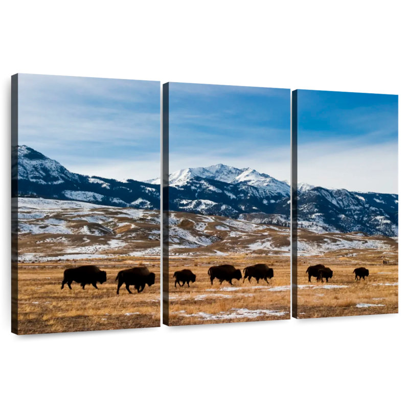 Brampt Migrating Yellowstone Bison, 20" H x 33" W
