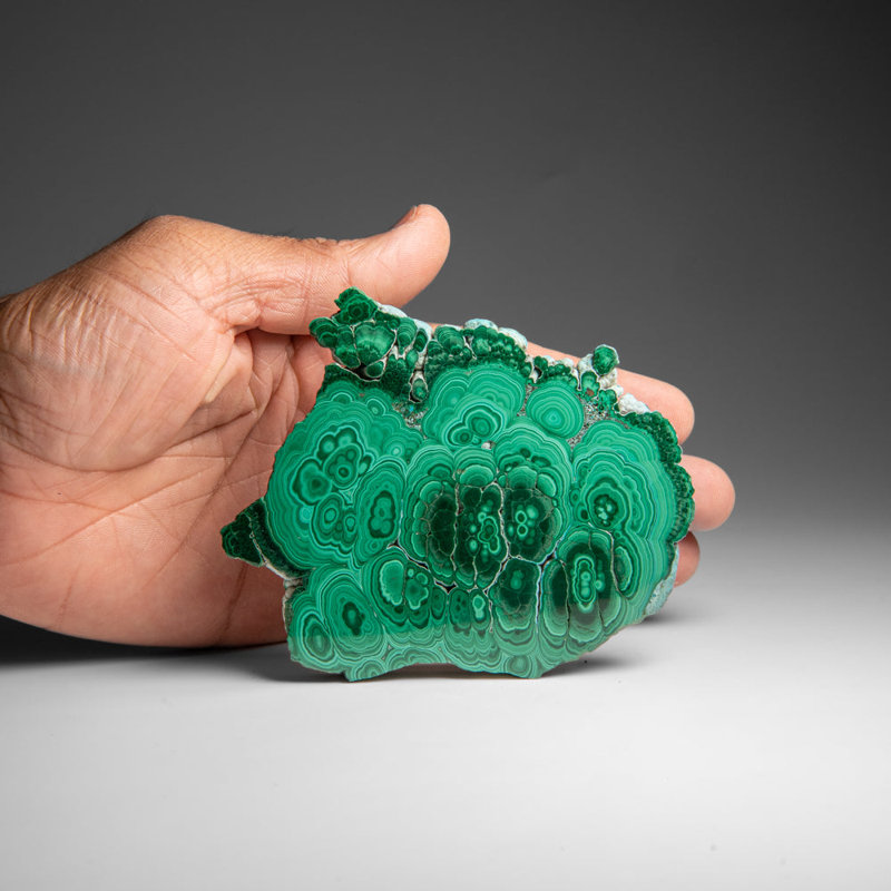 Genuine Polished Malachite Stalactite Slice (219 Grams)