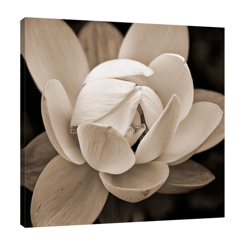 «Sepia Lily 1», toile tendue par Glenn Taylor, H 18 po x l 18 po x P 1,5 po