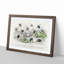 Assortment Of Bees by Oliver Goldsmith - Single Picture Frame Painting-57844120-57844122