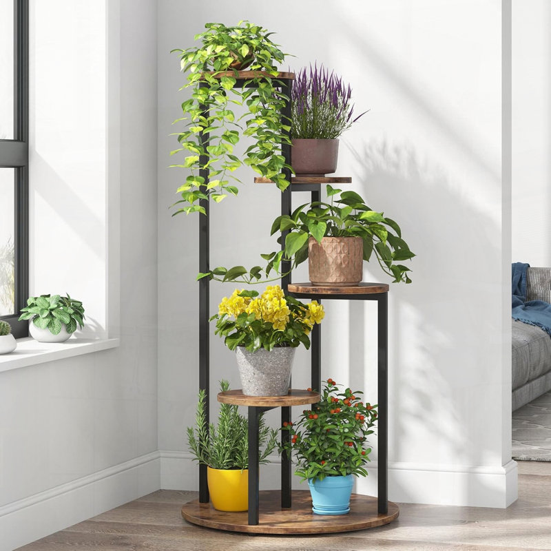 Présentoir botanique d'intérieur à quatre niveaux