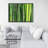 Green Bamboo Print On Canvas