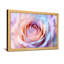 Plantes et fleurs, reproduction de pétales de rose pastel-1919650624-1919650628-1919650629