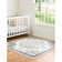 Oriental Indoor Rug