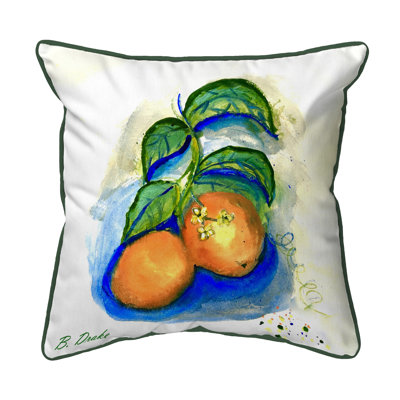  Housse et insert de coussin extérieur d'extérieur