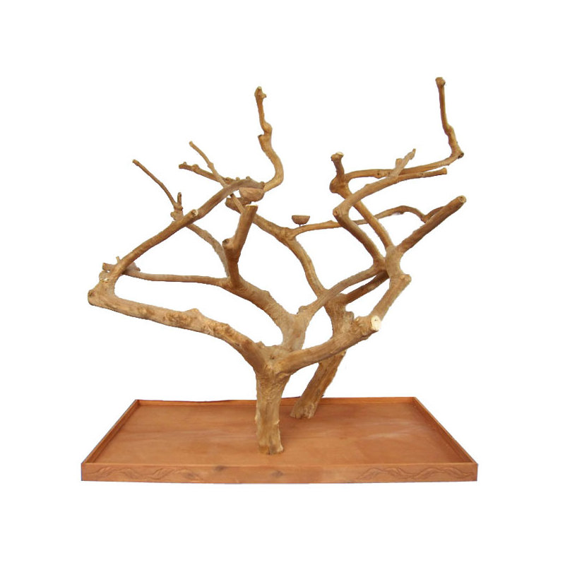 Double Java Wood Play Stand