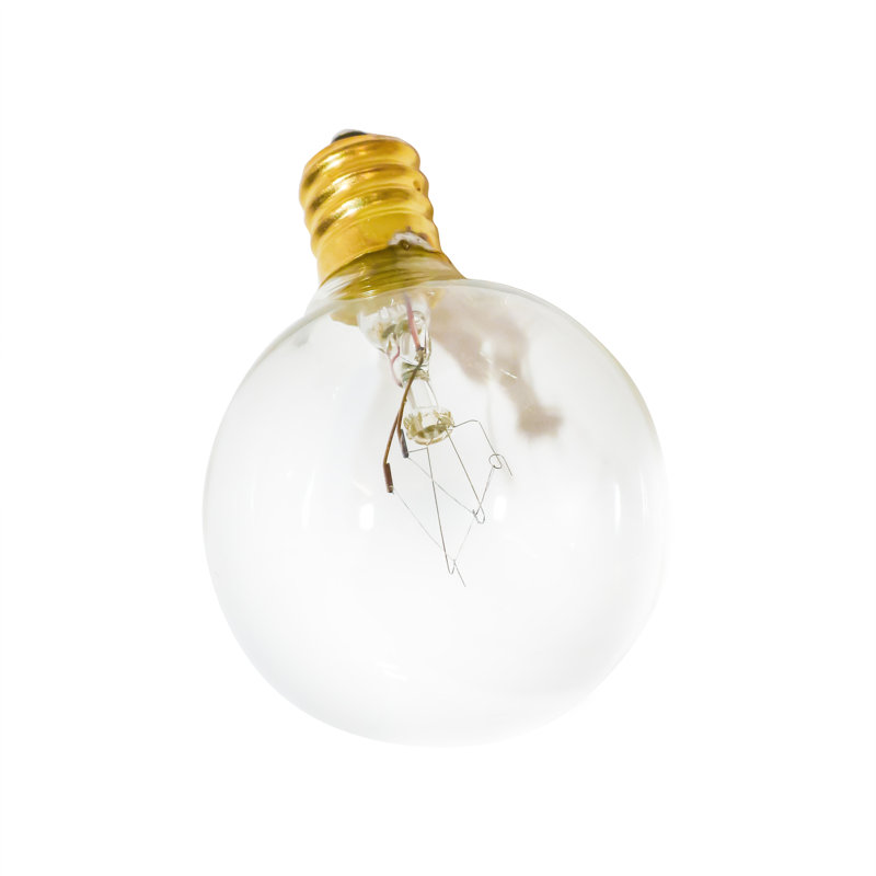Gustave Indoor 10 - Bulb 12'' Plug-in Globe String Light