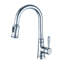 Trova Kitchen Faucet-61695821