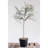 29"H Faux Thyme Topiary in Pot