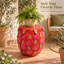 Tabouret de 13,4 po en résine Dragon Fruit