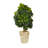 42'' Faux Schefflera Tree in Planter