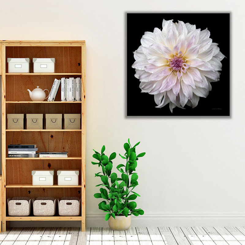 Dahlia IV - reproduction d'art sur toile, H 12 po x l 12 po