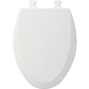 https://assets.wfcdn.com/im/89070230/resize-h310-w310%5Ecompr-r85/1128/112820016/elongated-toilet-seat-and-lid.jpg